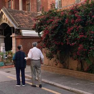 兽皇videosfree另类
