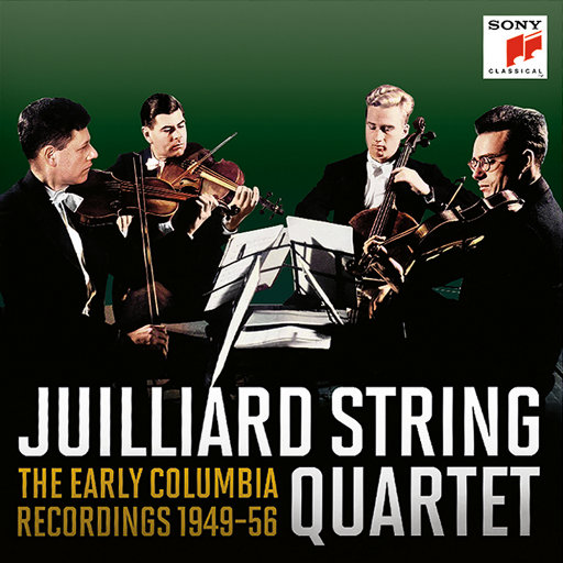 兽皇videosfree另类
